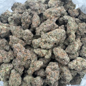 Scented Marker Flower THCA