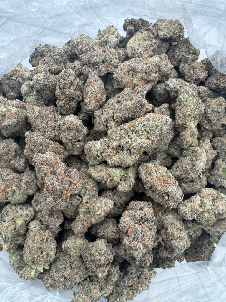 Scented Marker Flower THCA