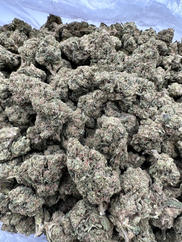 KEYLIME JACK FLOWER THCA