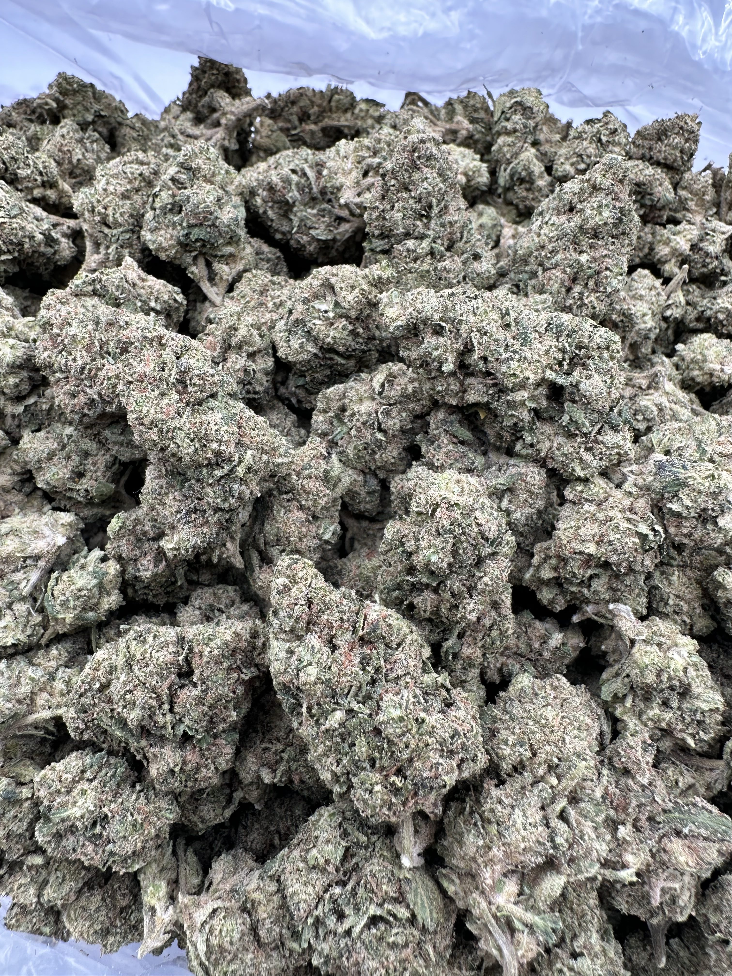 KEYLIME JACK FLOWER THCA