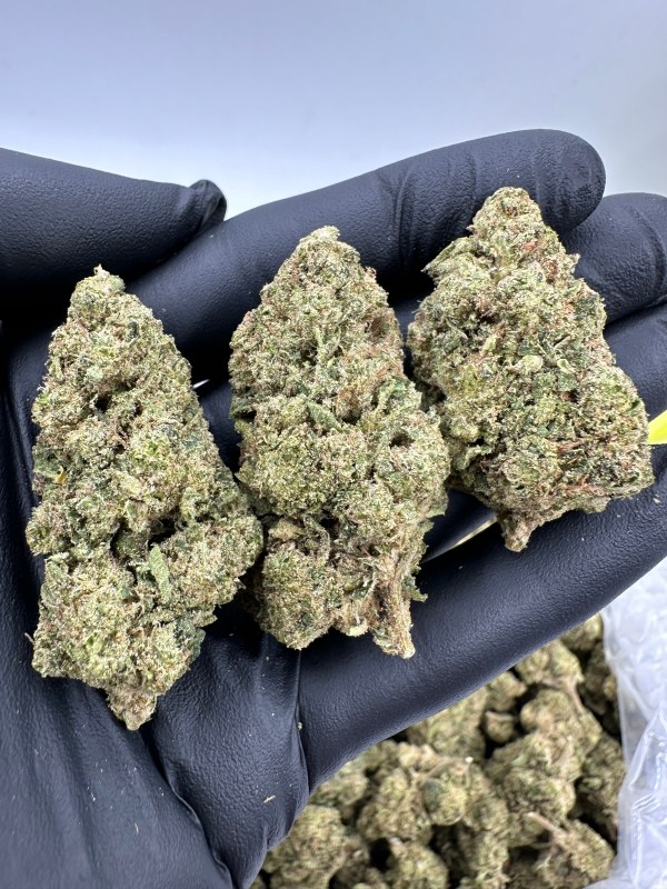 KEYLIME JACK THCA FLOWER