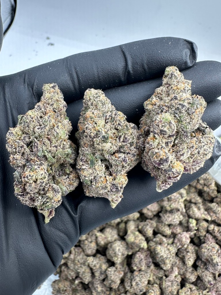 PURPLE PANTY DROPPER-FLOWER THCA