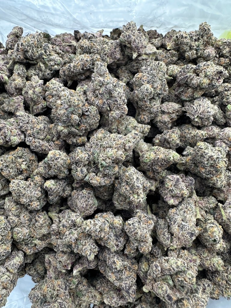 PURPLE PANTY DROPPER-THCA FLOWER