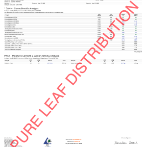 SUPER LEMON HAZE - LIGHT ASSIST - Image 3
