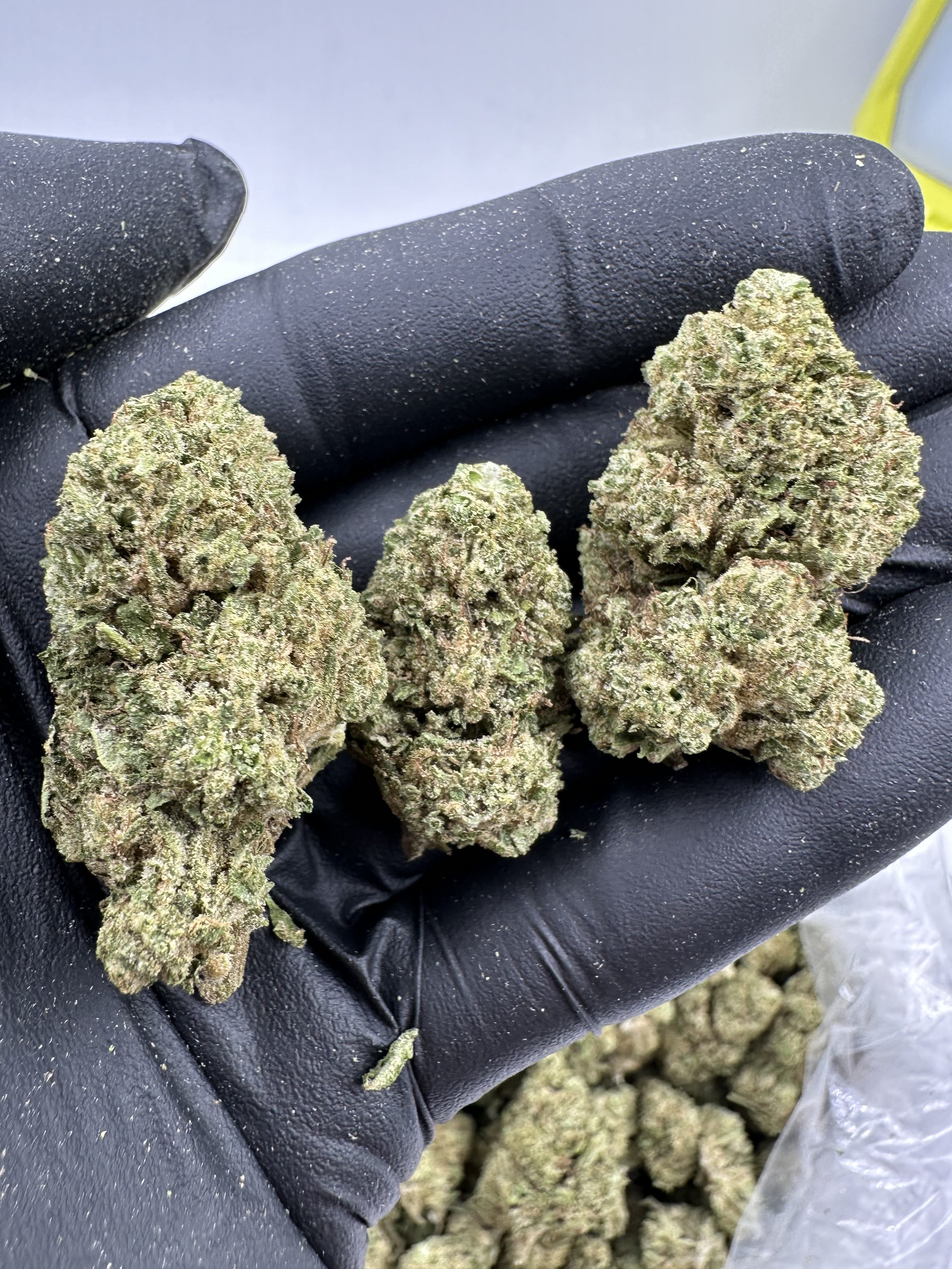 WONDERBREAD-FLOWER THCA
