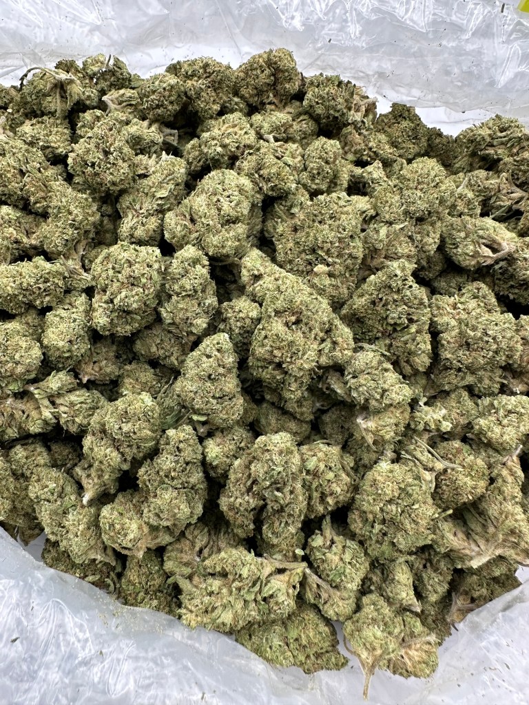 WONDERBREAD-THCA FLOWER
