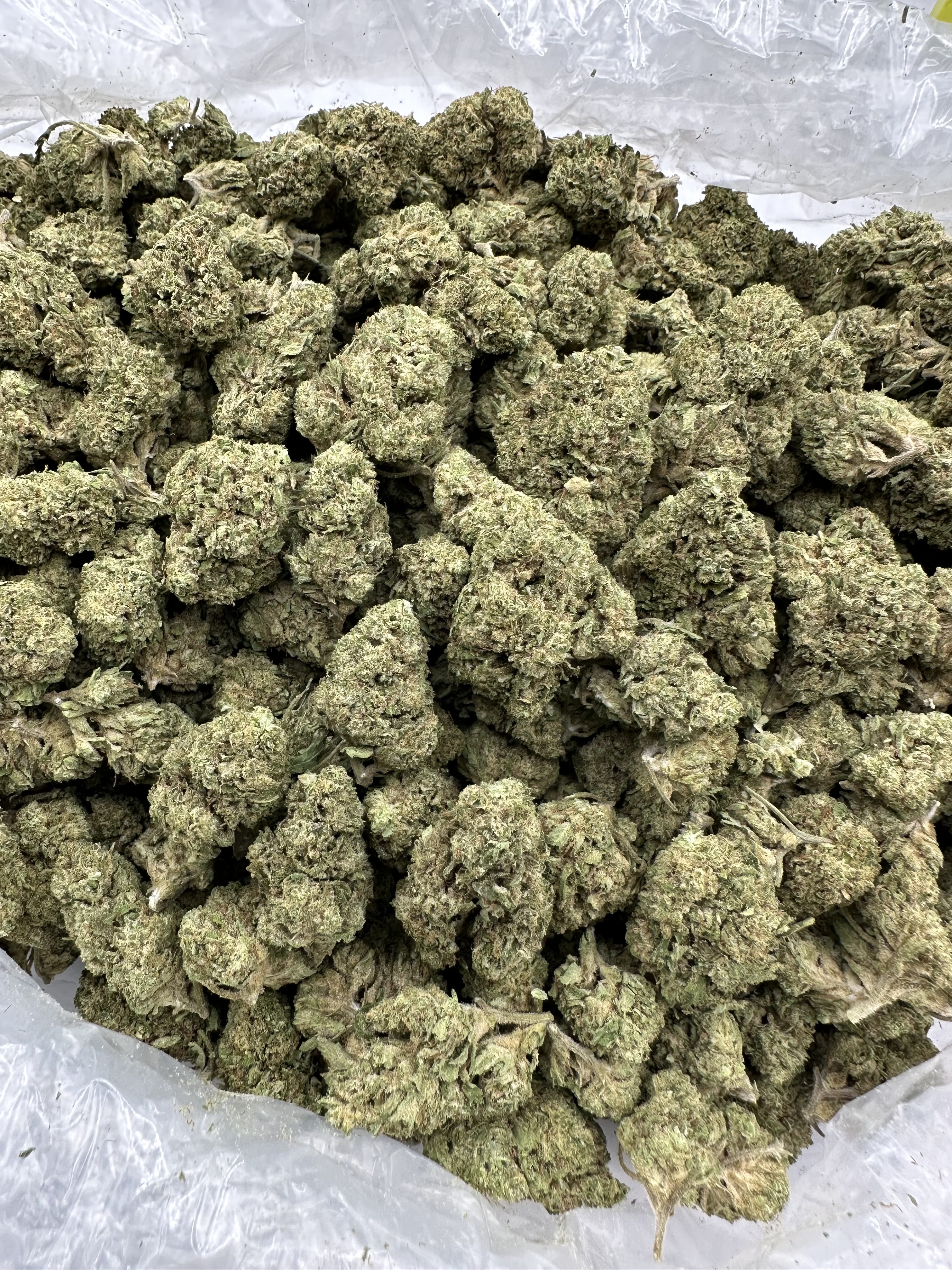 WONDERBREAD-THCA FLOWER