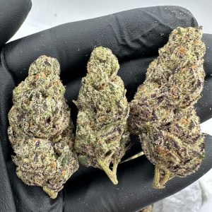 PURPLE DREAM FLOWER THCA