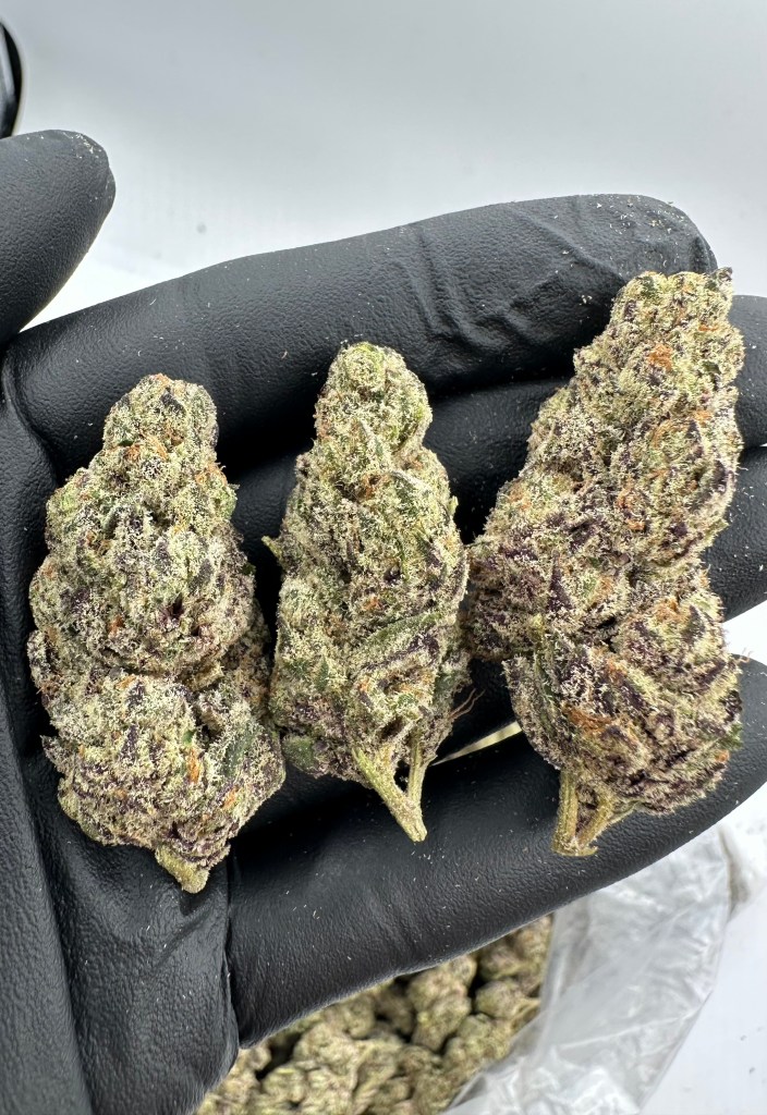 PURPLE DREAM FLOWER THCA