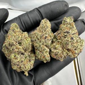 APPLE FRITTER FLOWER THCA