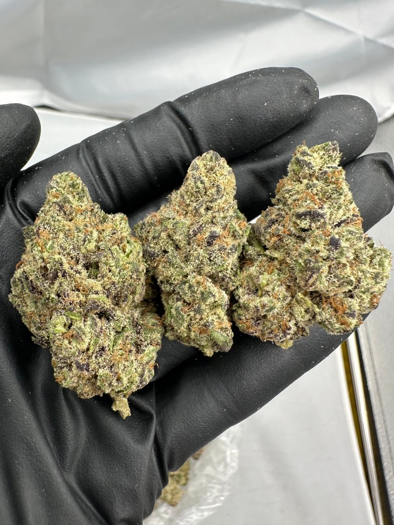 APPLE FRITTER FLOWER THCA
