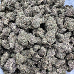 APPLE FRITTER THCA FLOWER