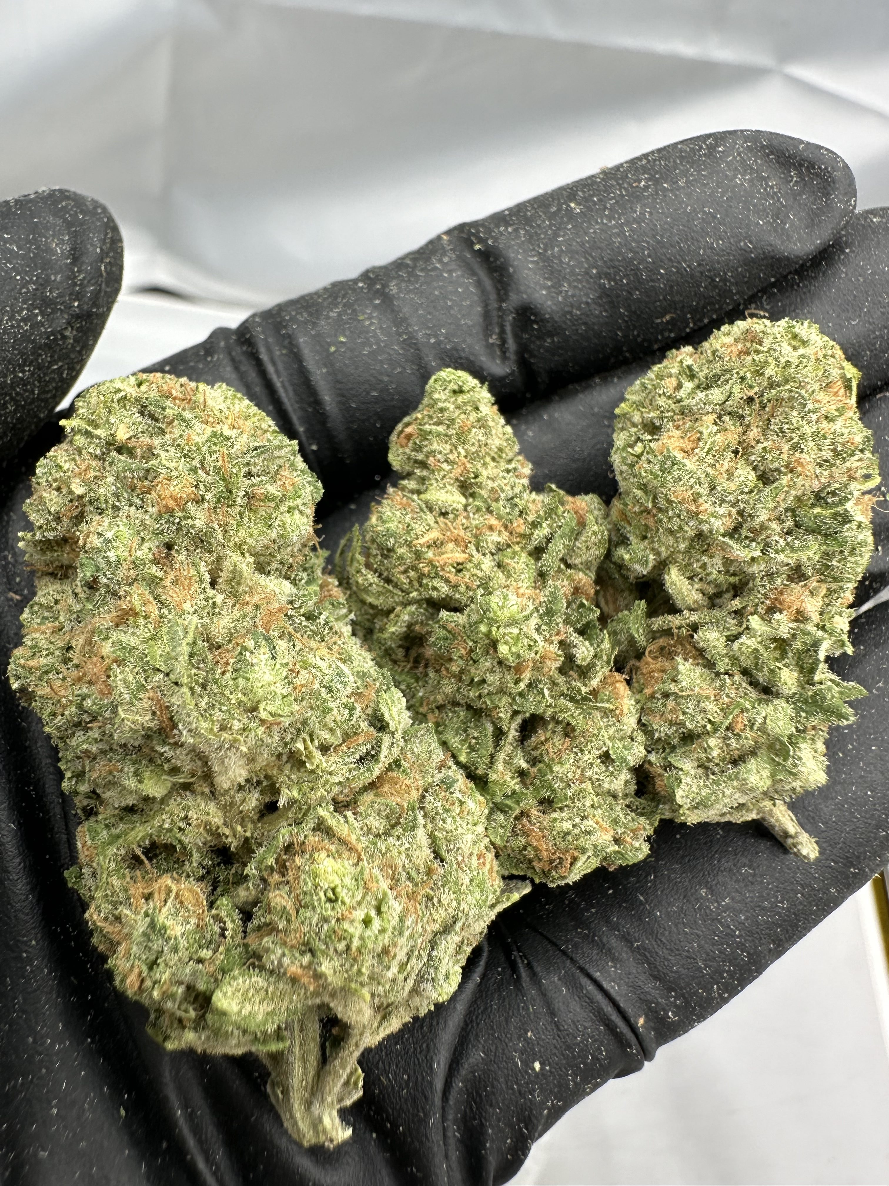 BLUE DREAM FLOWER THCA
