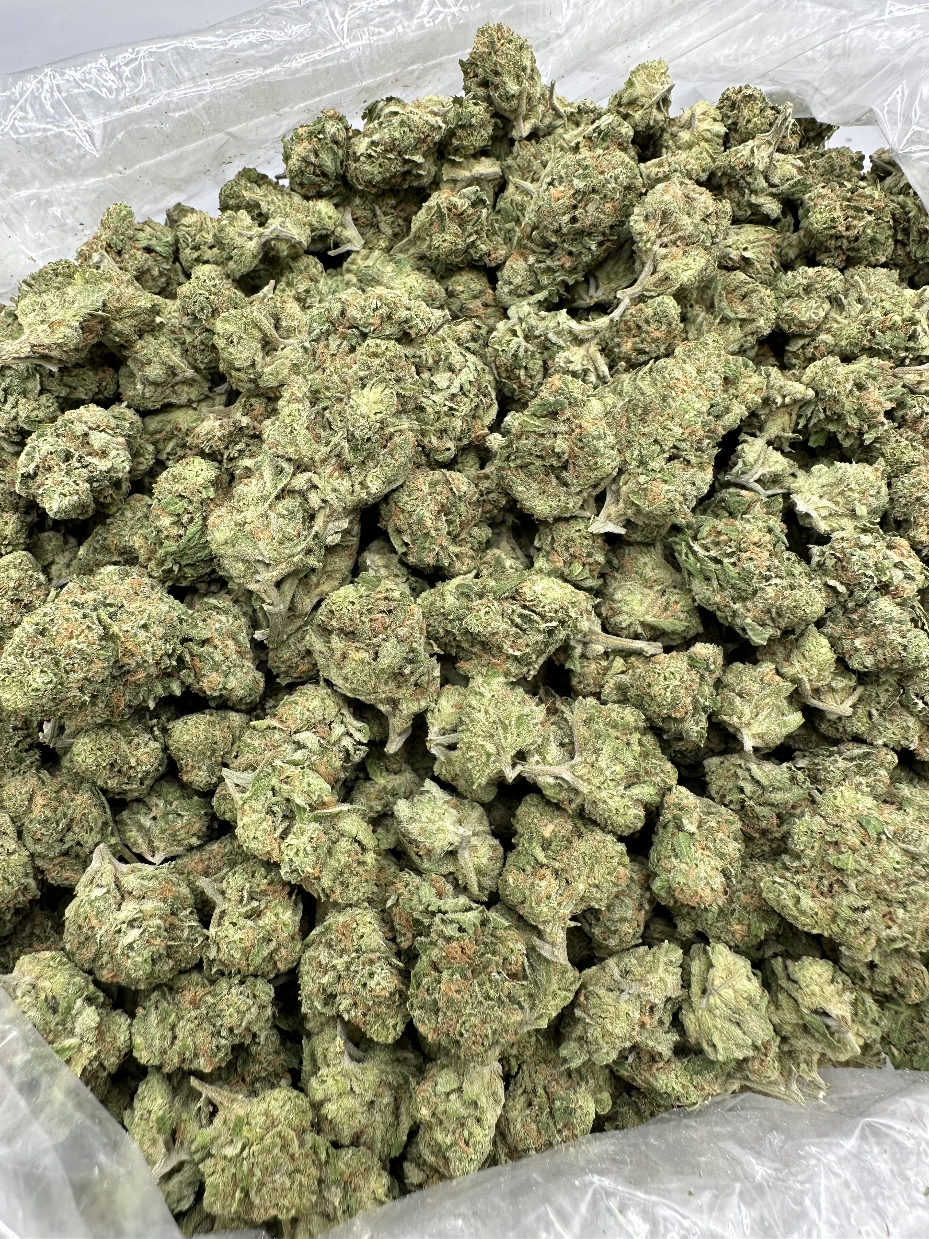 BLUE DREAM THCA FLOWER