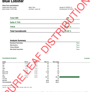 BLUE LOBSTER COA