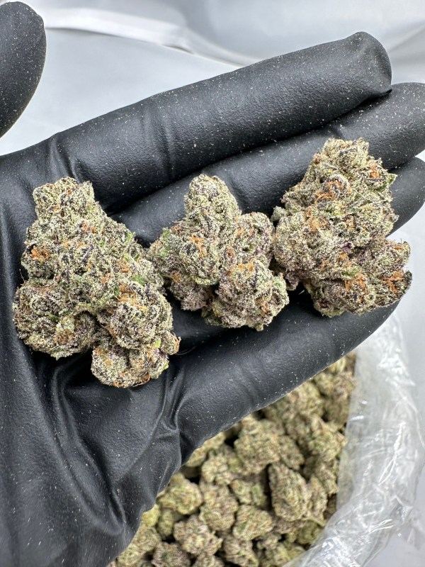 BLUE LOBSTER FLOWER THCA