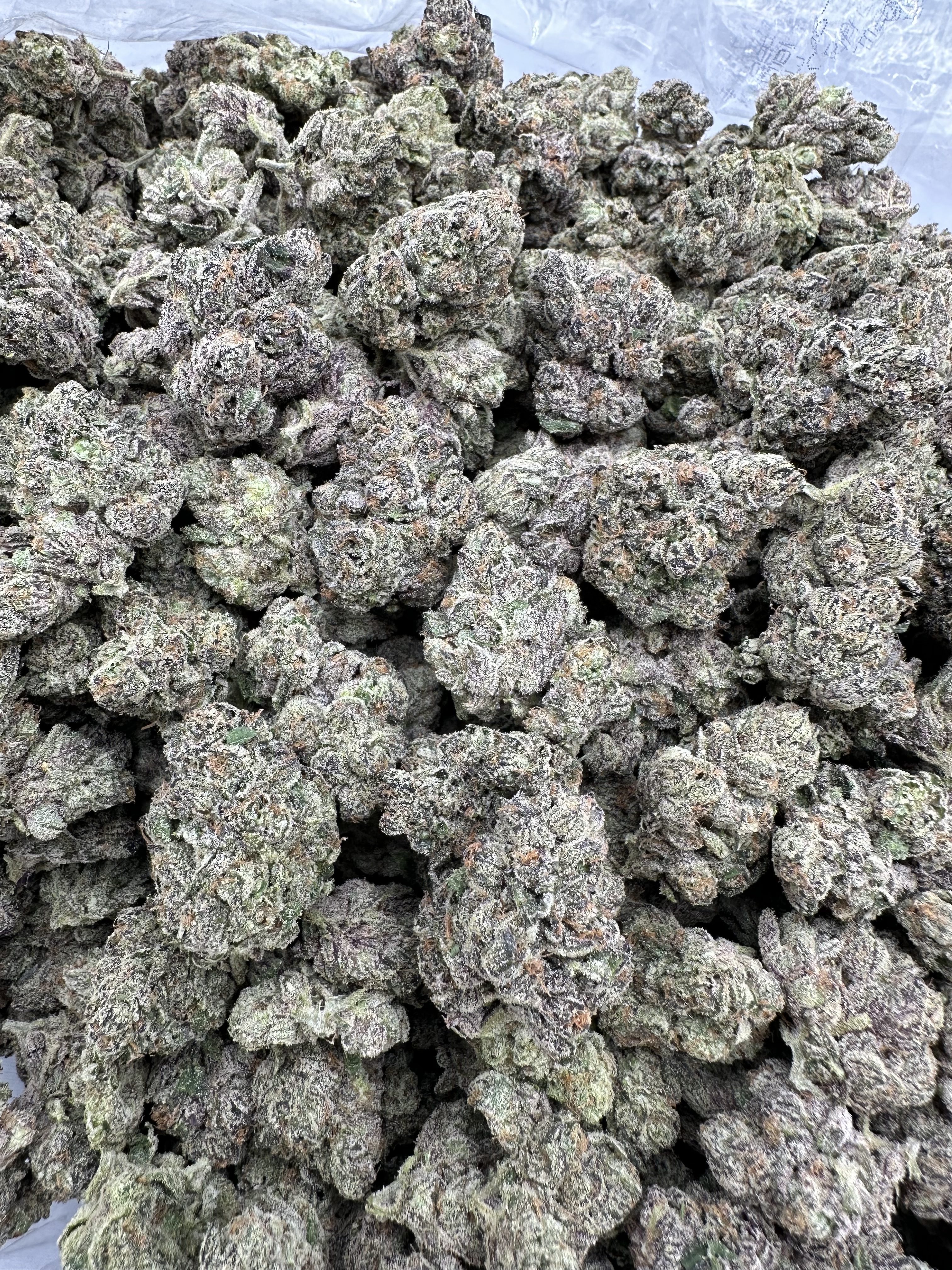 BLUE LOBSTER THCA FLOWER