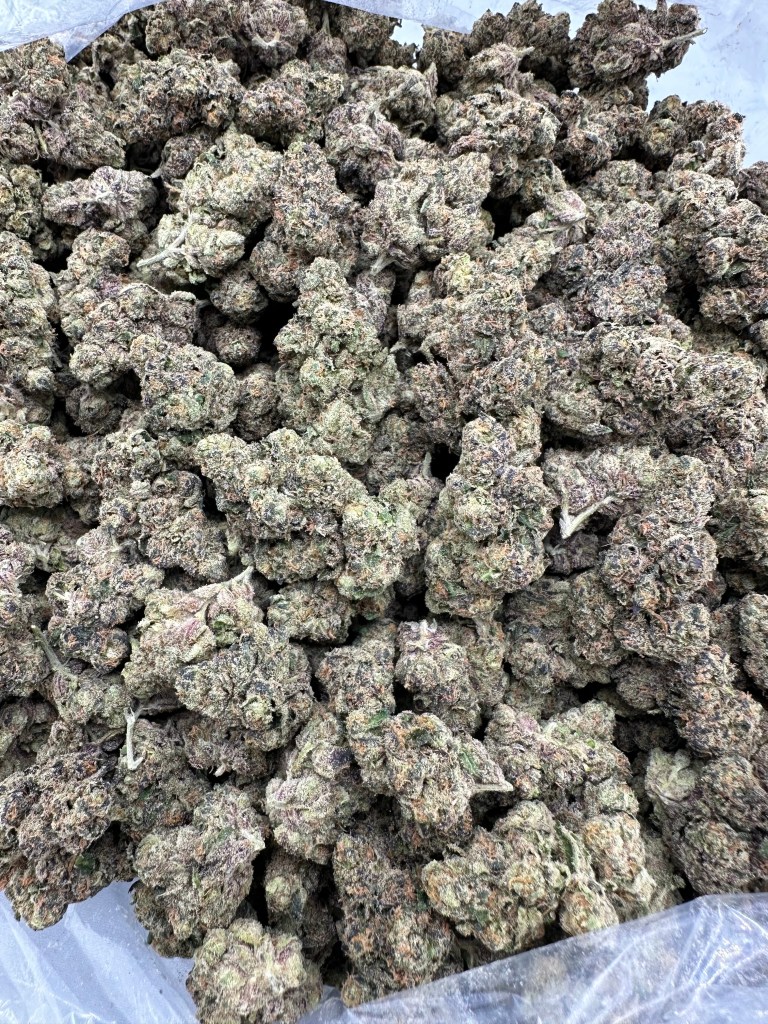 ORANGE PUSH POP FLOWER THCA