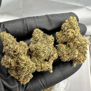 ORANGE PUSH POP THCA FLOWER