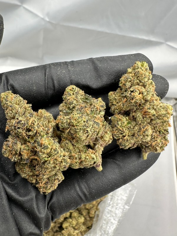 ORANGE PUSH POP THCA FLOWER