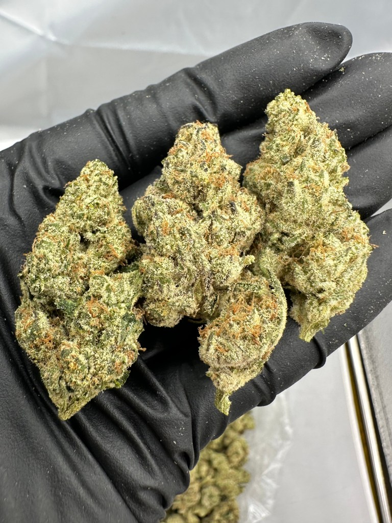 WHITE BUBBLE GUM GELATO - FLOWER THCA