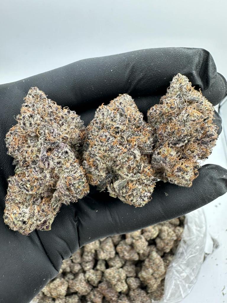 BLUE ZOOKIES - EXOTIC