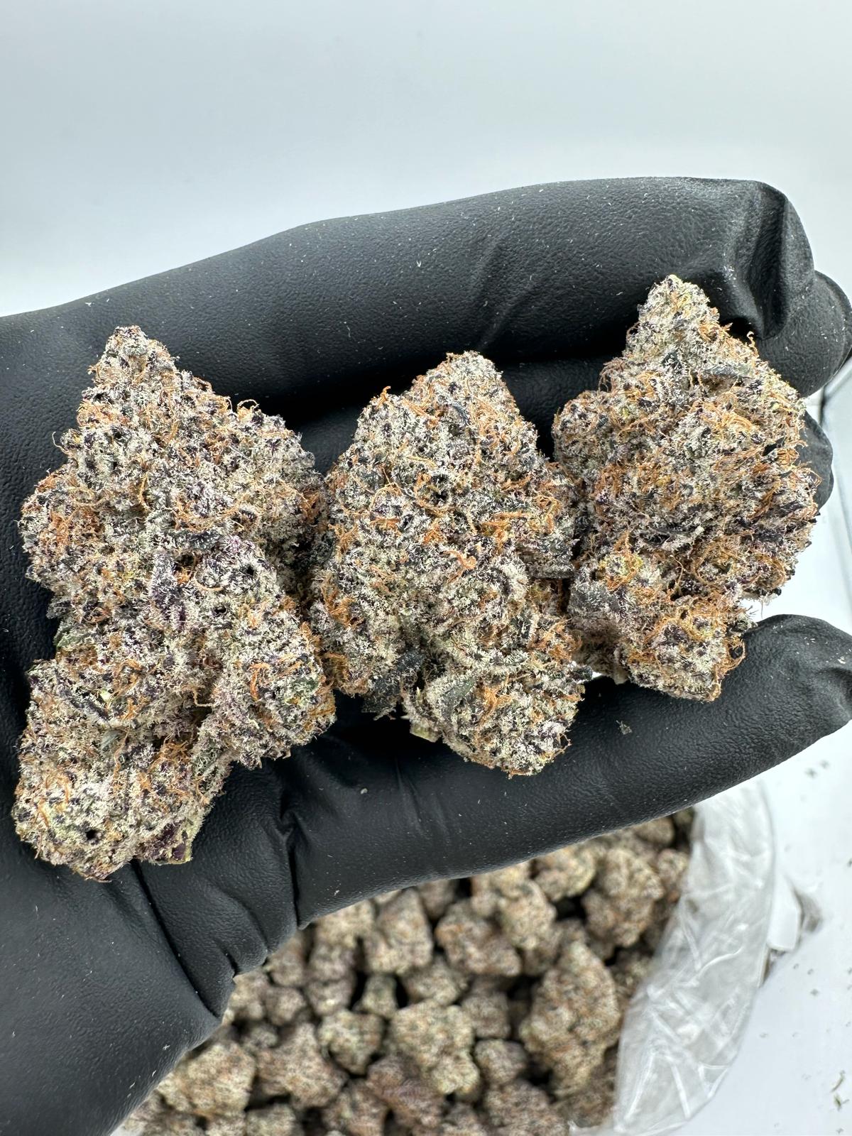 BLUE ZOOKIES - EXOTIC - Image 1