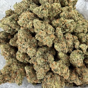 SOUR JACK - INDOOR - Image 2