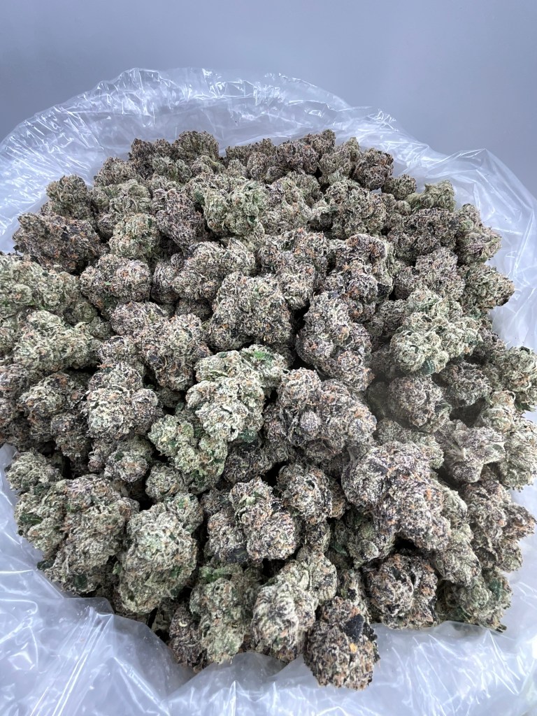 YUM BERRY - EXOTIC