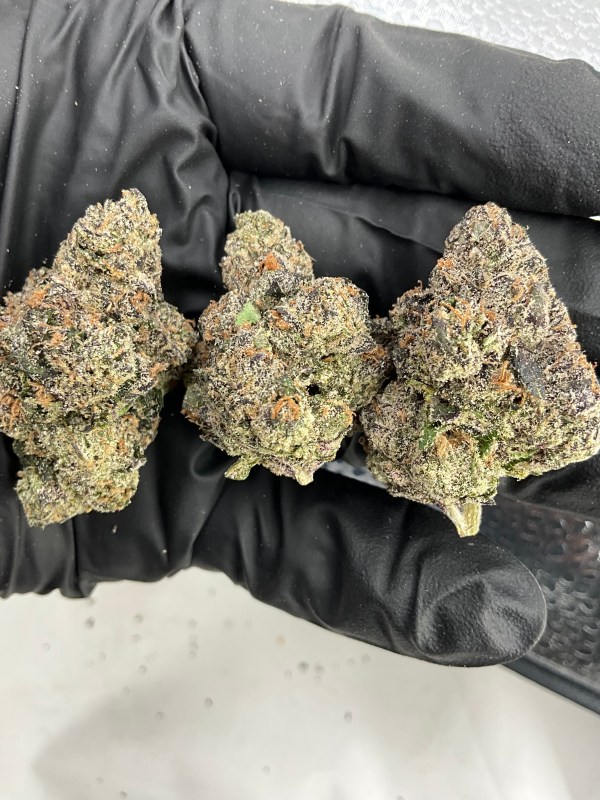 YUM BERRY - EXOTIC