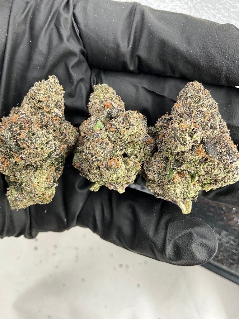 YUM BERRY - EXOTIC