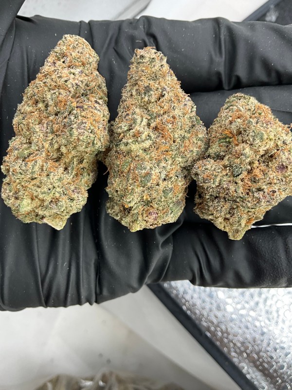 SLURRICANE - EXOTIC