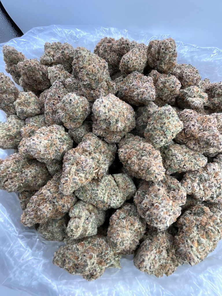 SLURRICANE - EXOTIC