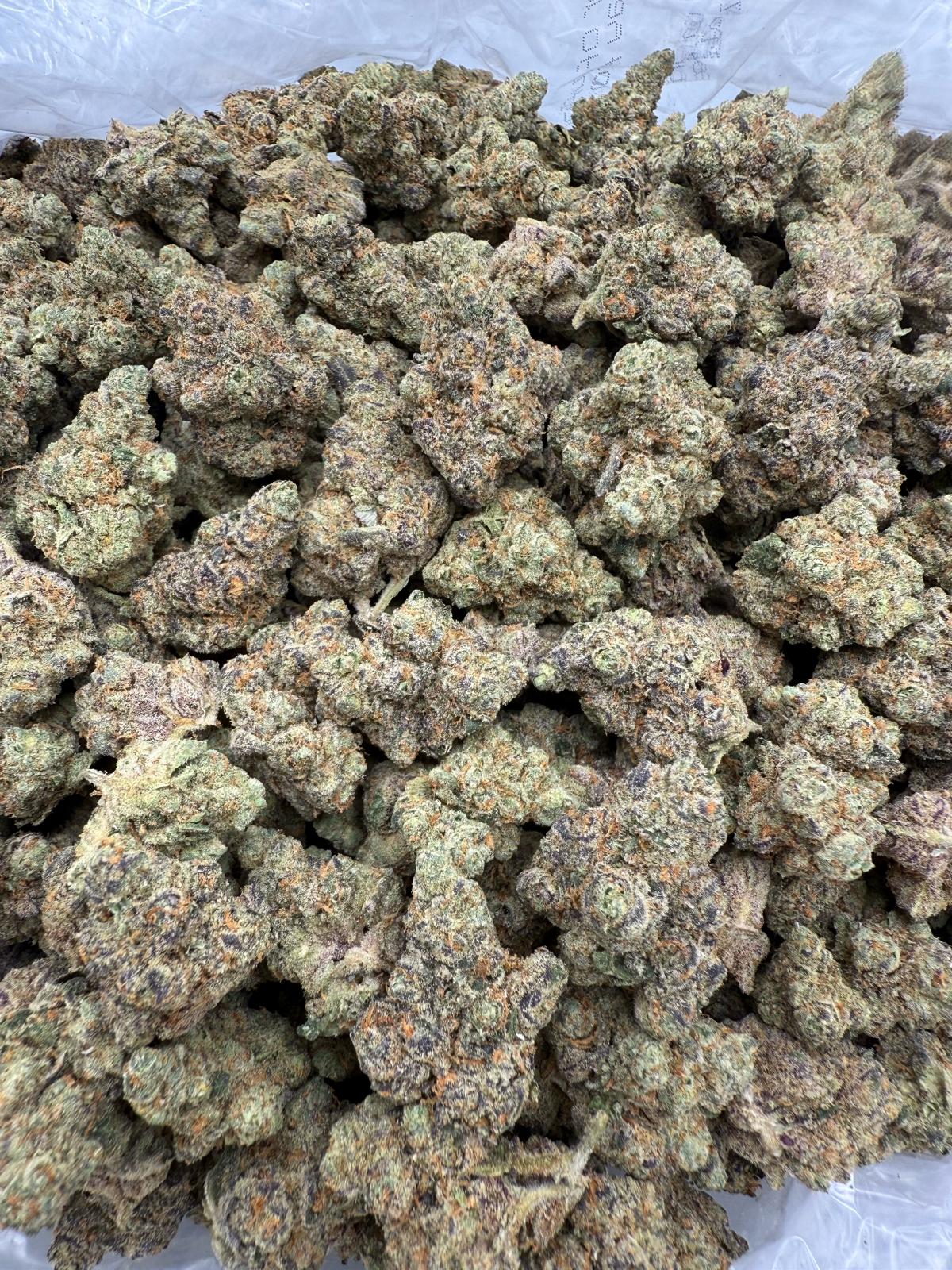 SEX PANTHER OG - INDOOR - Image 2
