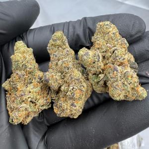 SEX PANTHER OG - INDOOR - Image 1