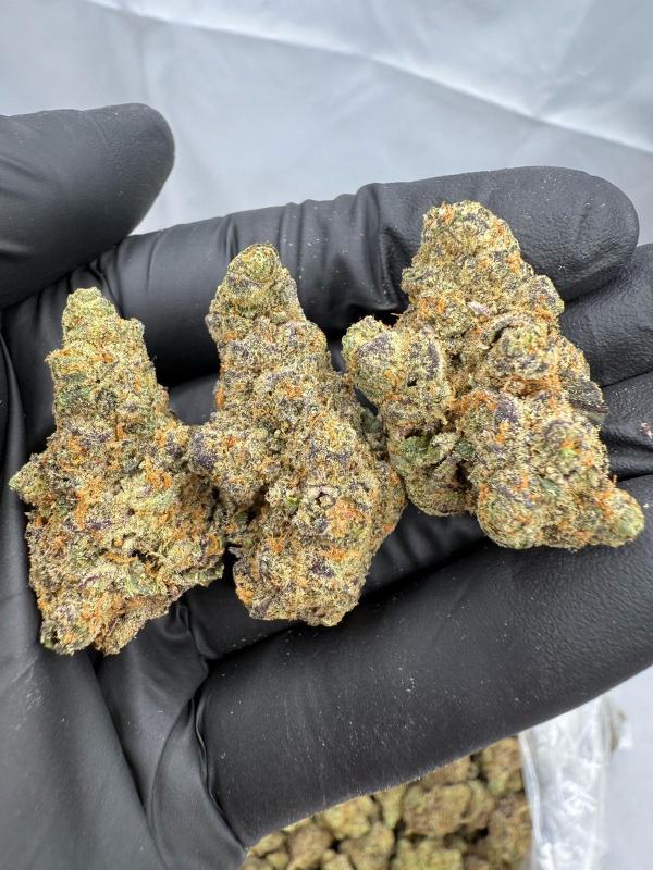 SEX PANTHER OG - INDOOR