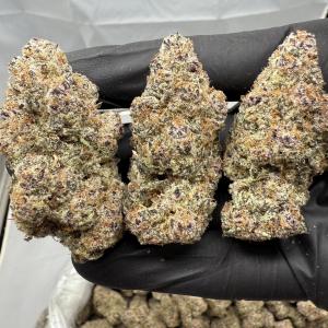 SLURRICANE - EXOTIC - Image 1