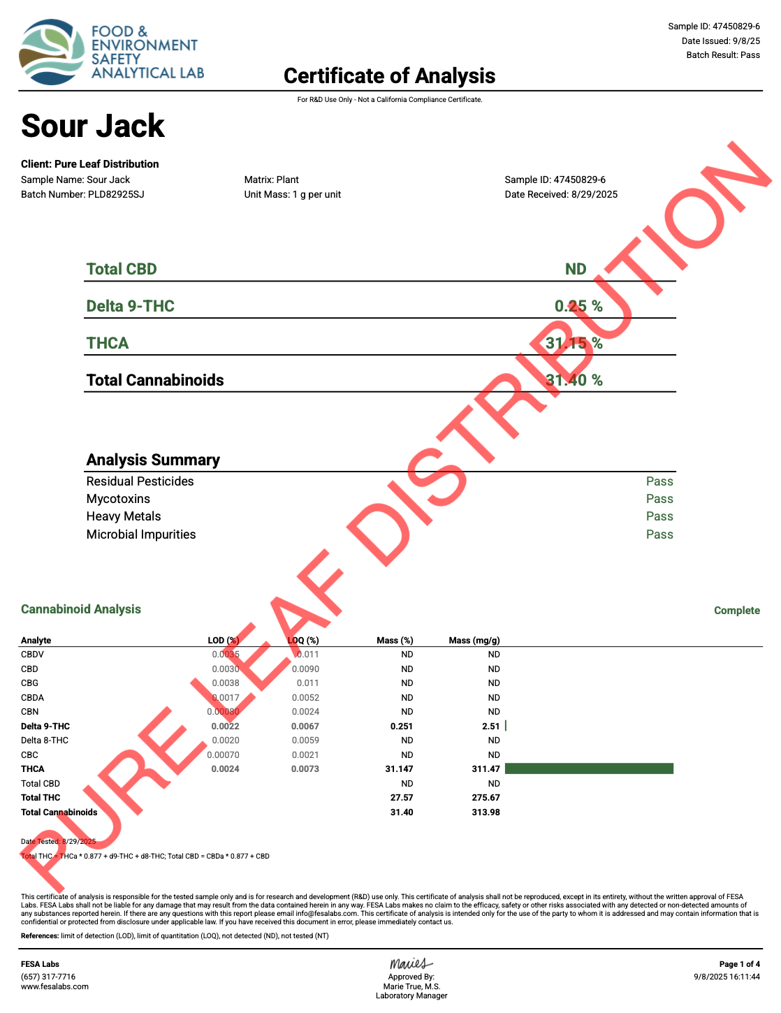 SOUR JACK COA