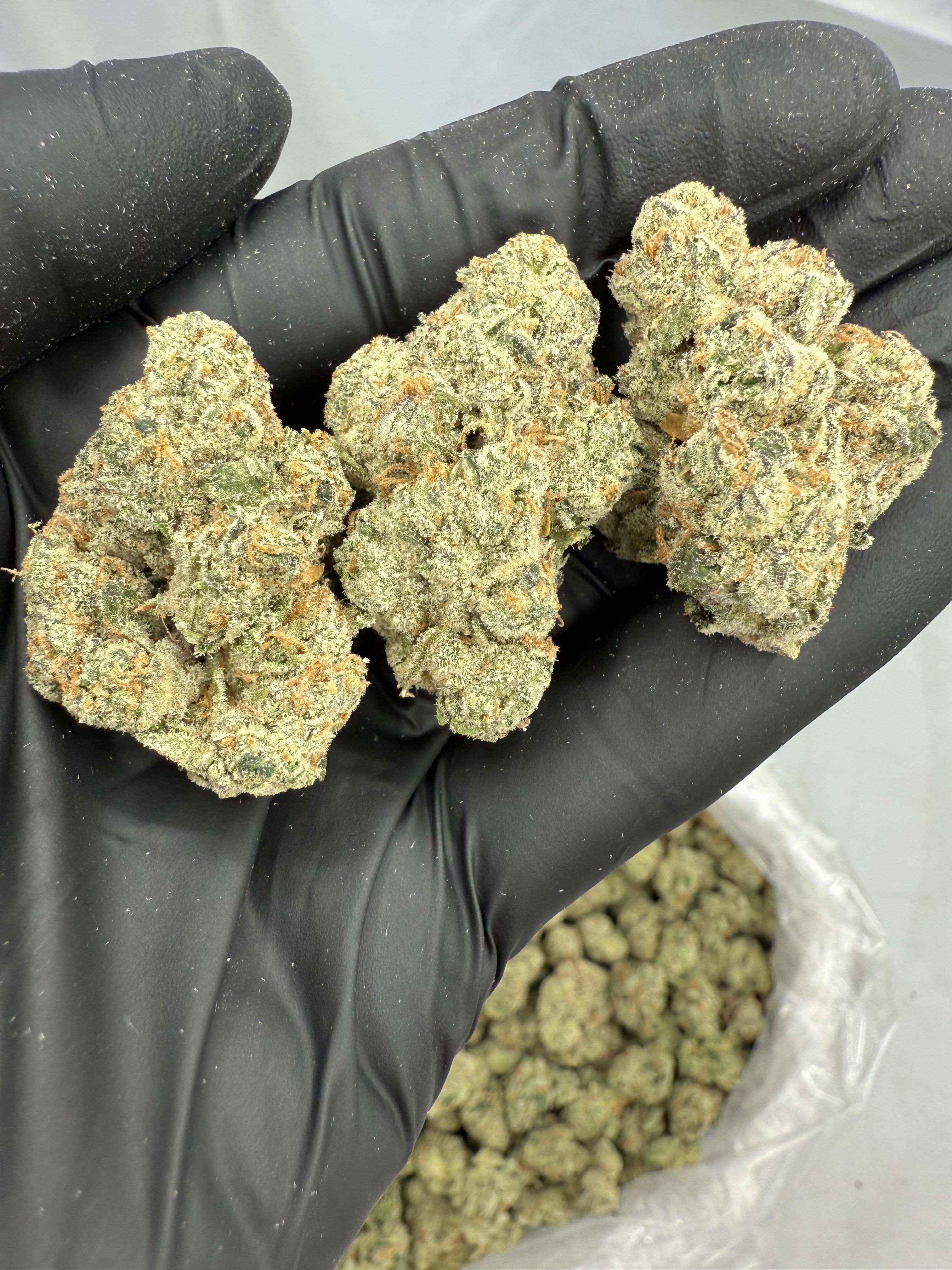 SOUR JACK THCA FLOWER