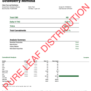 STRAWBERRY MIMOSA COA