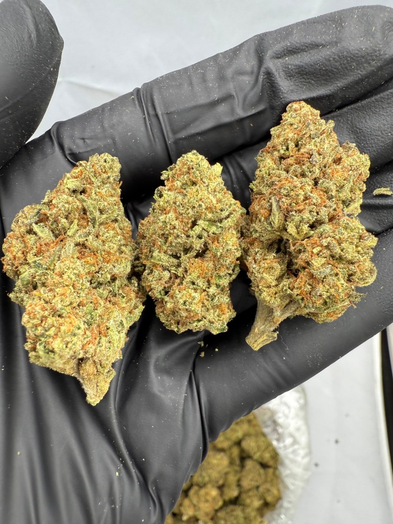 STRAWBERRY MIMOSA THCA FLOWER