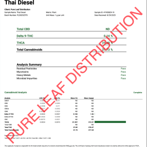 THAI DIESEL - INDOOR - Image 3