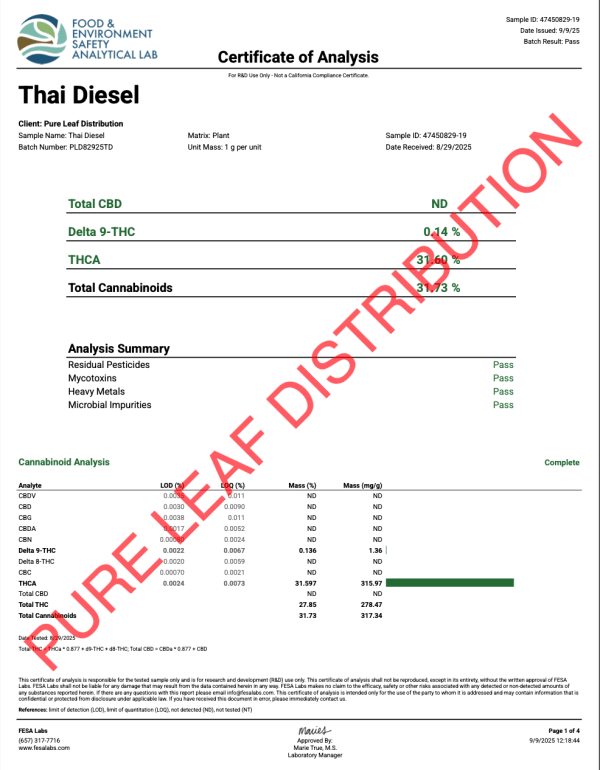 THAI DIESEL - INDOOR