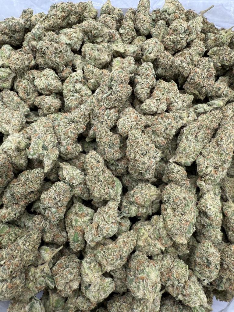 THAI DIESEL - INDOOR