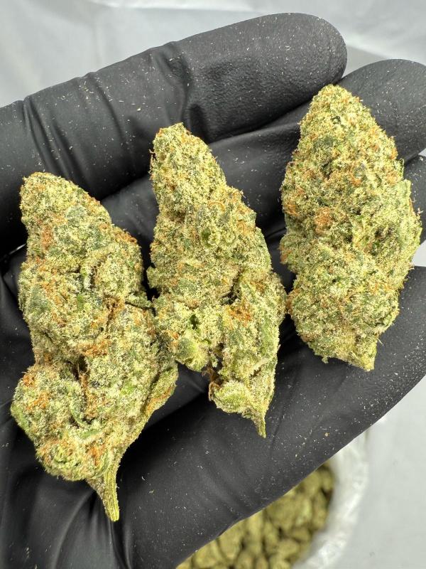 THAI DIESEL - INDOOR