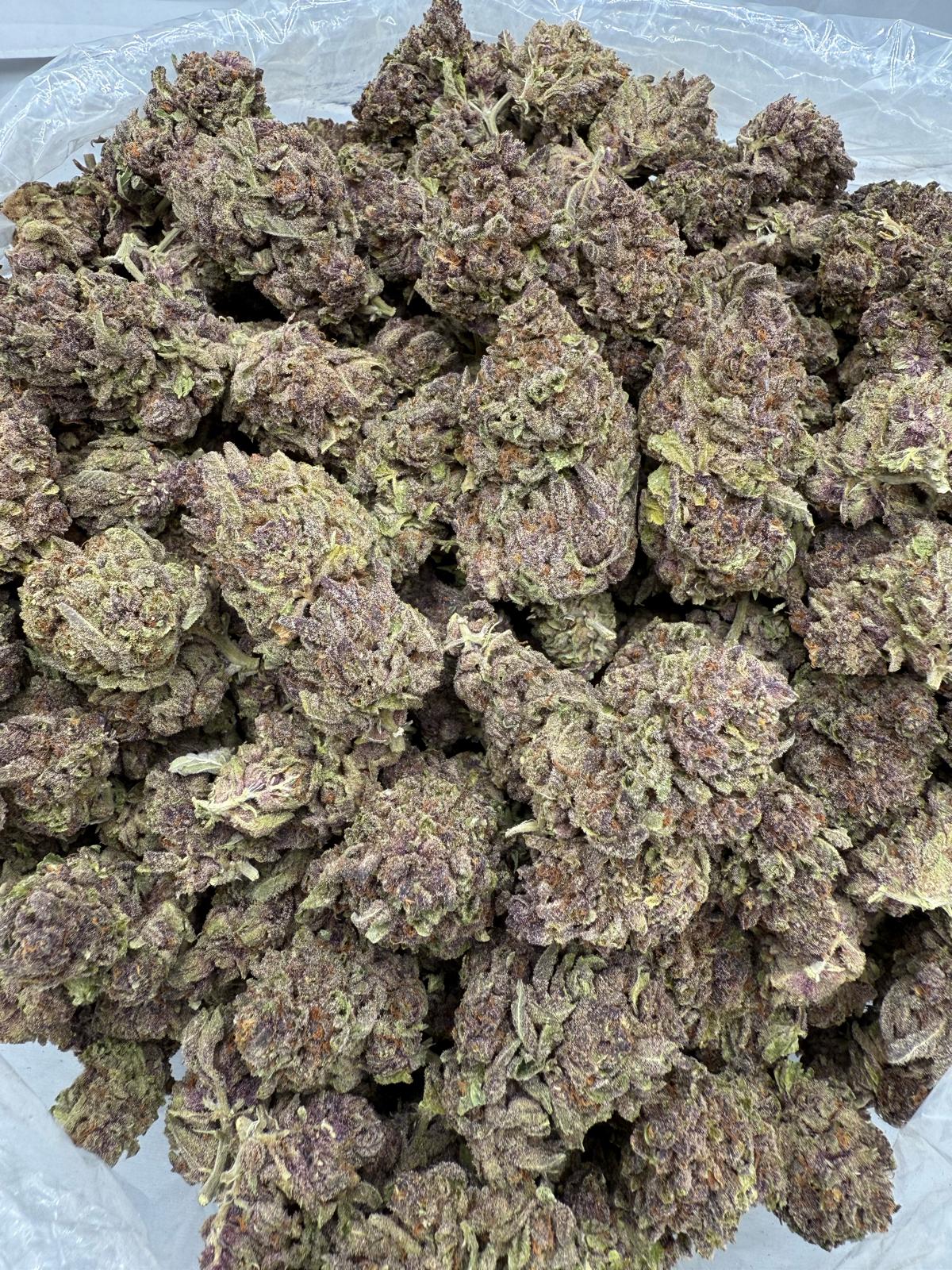 TROPICANA CHERRY COOKIE - LIGHT ASSIST - Image 2