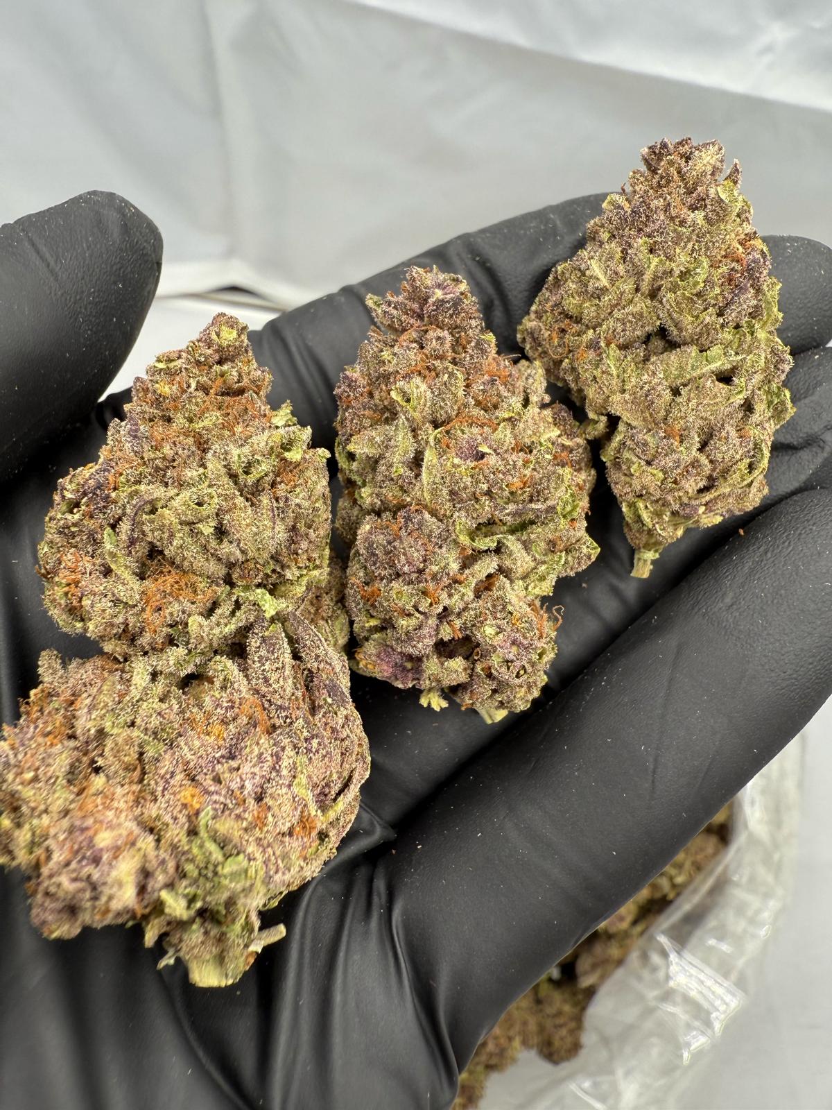 TROPICANA CHERRY COOKIE - LIGHT ASSIST - Image 1