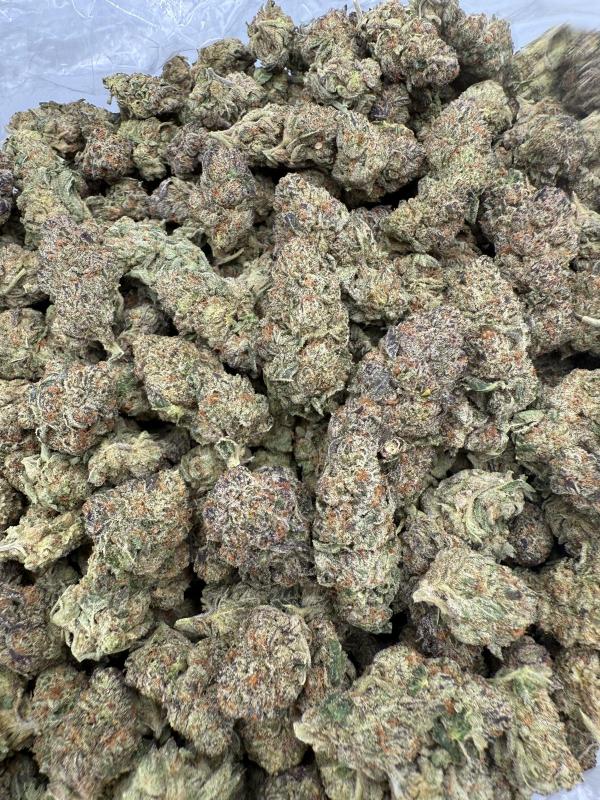 CRITICAL - VALUE INDOOR