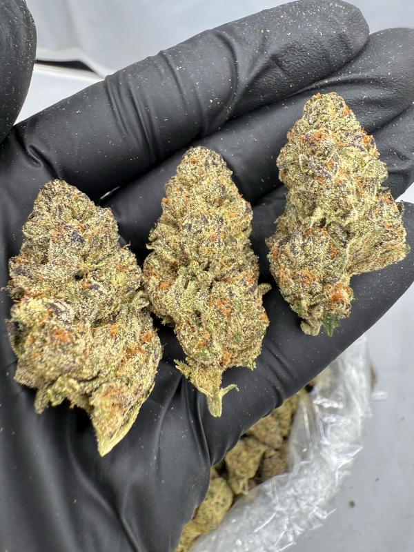 CRITICAL - VALUE INDOOR