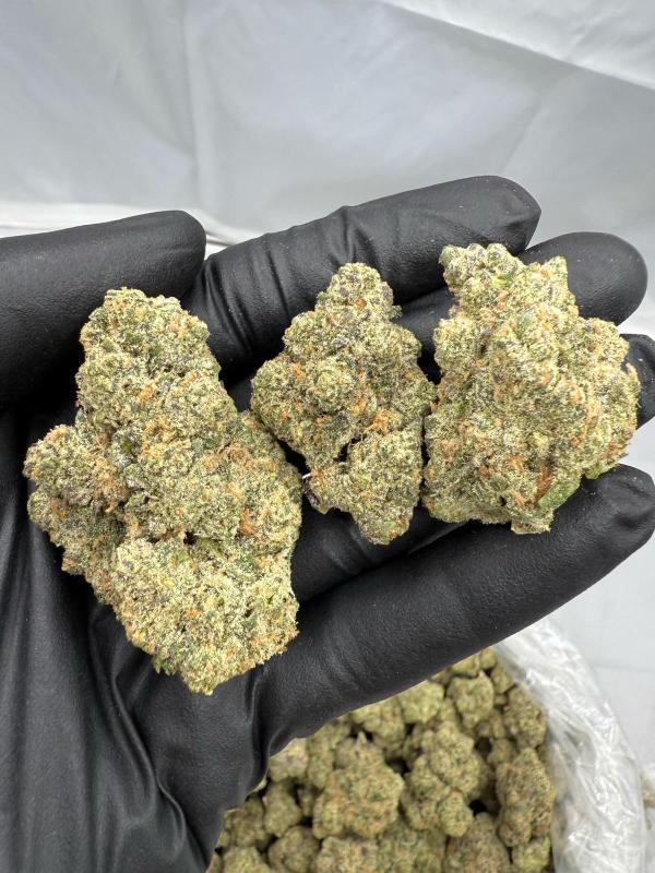 9 LB HAMMER - INDOOR